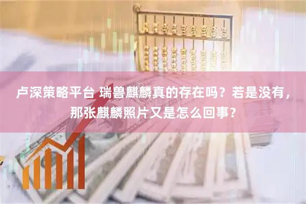 卢深策略平台 瑞兽麒麟真的存在吗？若是没有，那张麒麟照片又是怎么回事？