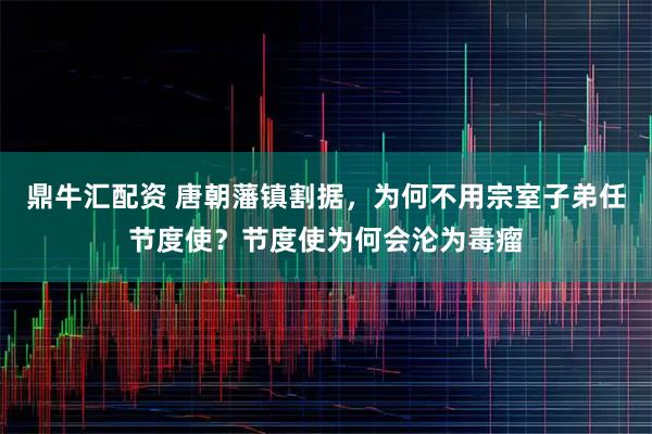 鼎牛汇配资 唐朝藩镇割据，为何不用宗室子弟任节度使？节度使为何会沦为毒瘤